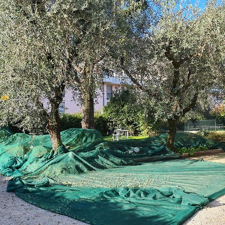 Ferienwohnung Le Peonie Riva del Garda Exterior foto