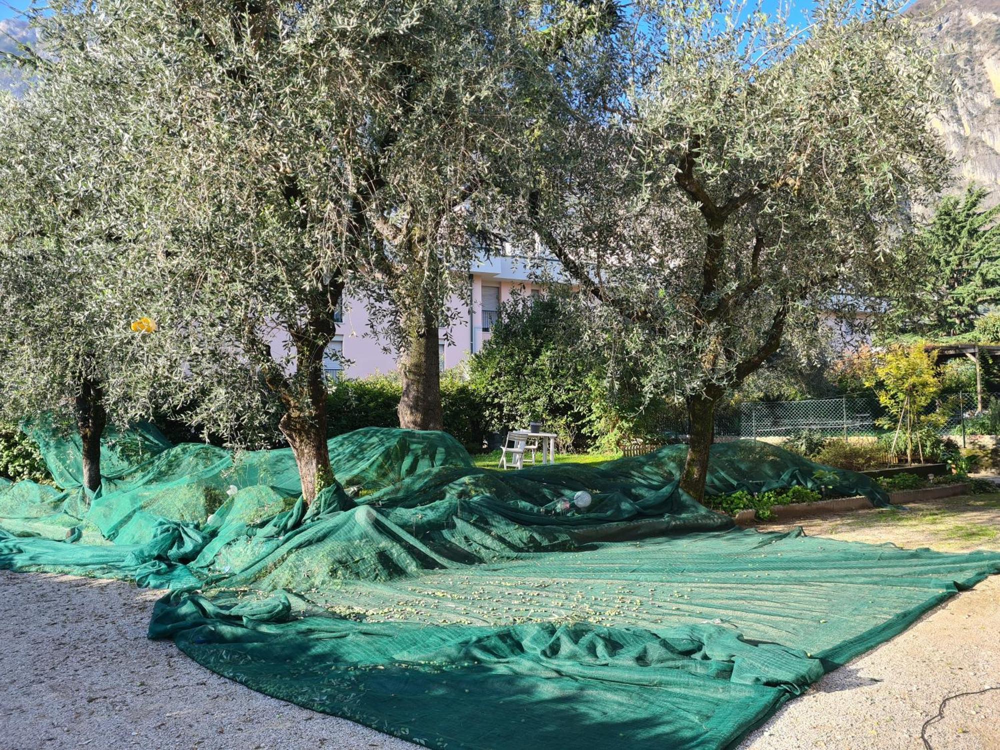 Ferienwohnung Le Peonie Riva del Garda Exterior foto